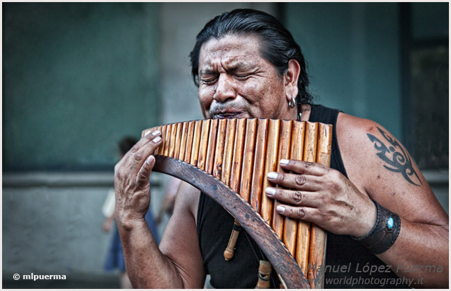 Músico andino